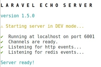 Preview Laravel Echo socket.io - https 443 - ReverseProxy